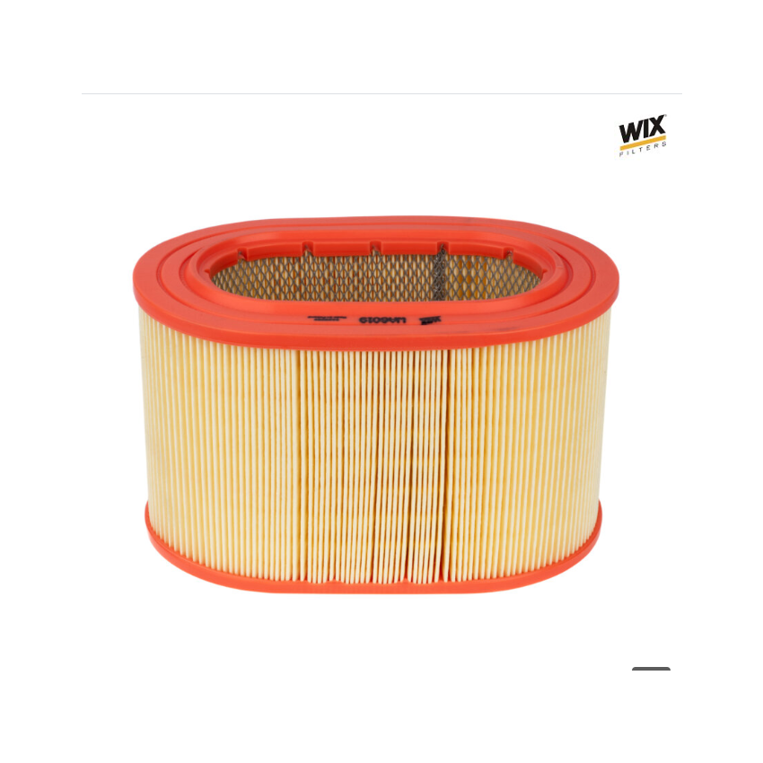 Filtro de ar 2.5D Wix (oval)